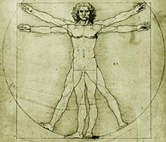 L'homme (Lonard de Vinci)